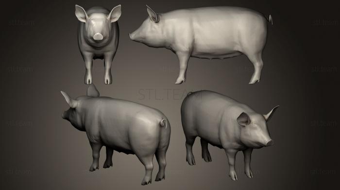 Статуэтки животных Pork Cuts Diagram